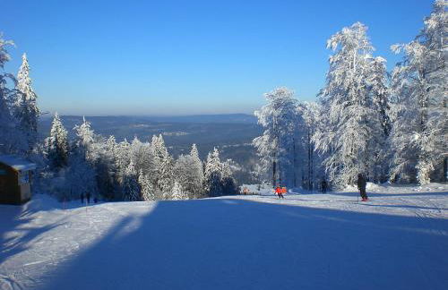 Bayerwaldblockhaus - Chalet in Bayern - Foto 17