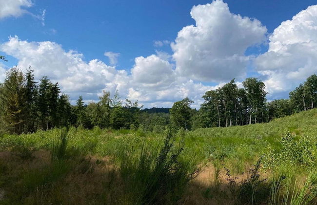 Holiday Home in Rozewko With Pool and Orchard - Photo 26