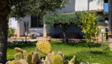 Azure Bay Chic Villa - Foto 2, Garden, Garden view