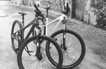 Le 1881 Ampuis - Foto 49