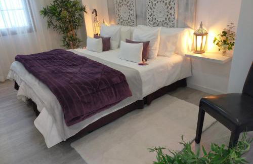 Alojamiento PLAZA CASCO HISTORICO - Foto 9