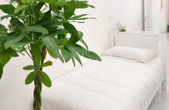 Bed & Garage Apartment in Villa - Photo 3