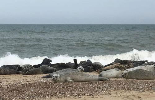 Cygnets Nest - Foto 24