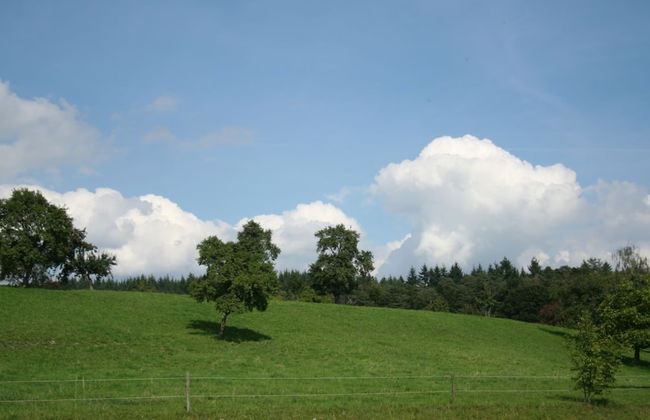 Spacious Apartment near Lake Constance with Covered Balcony - Foto 13