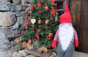 Lo Gnomo sotto al Glicine - Foto 2