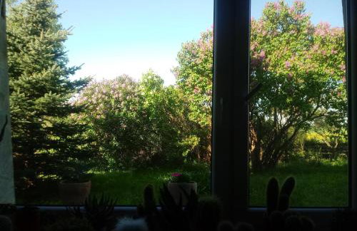 Zakątek Szczęścia Eko Agroturystyka - Foto 44