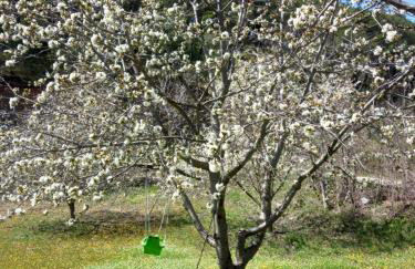 Immaculate 2-bed Cottage Near Krka Waterfalls - Foto 19