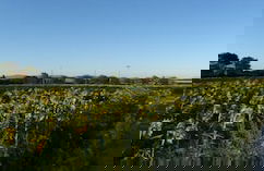 Agriturismo Le Stringaie - Photo 23