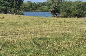 LandOase Buchhorst - Photo 32