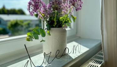 Tohuus Op'n Dörp - Foto 5