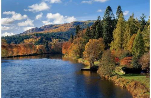 Pinewood Cottage - Quiet and peaceful Blairgowrie - Photo 5