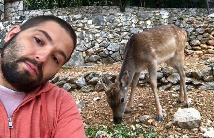 Apartments Stokic - Foto 40