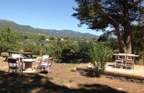 Mas Perdiueta - Foto 18