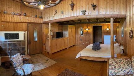 Urige Blockhütte direkt am Waldrand - Foto 2