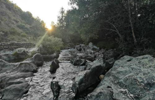 La nueva Escuela - Foto 26