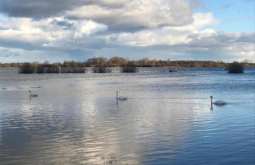Sieburczynianka - Foto 42