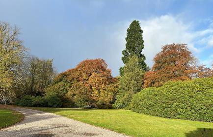 Spean Lodge - Foto 34