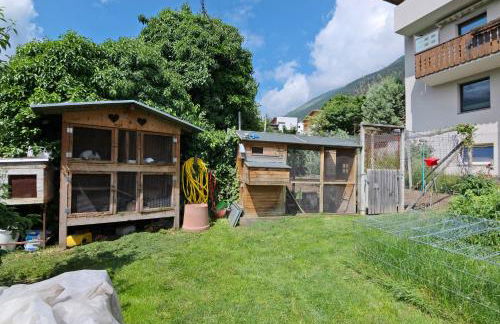 Bertollhof Apfelerlebnis - Foto 20