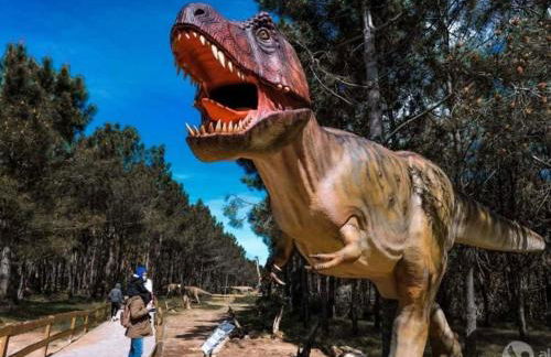 Holiday Home Heilige Efigenie by Interhome - Foto 55