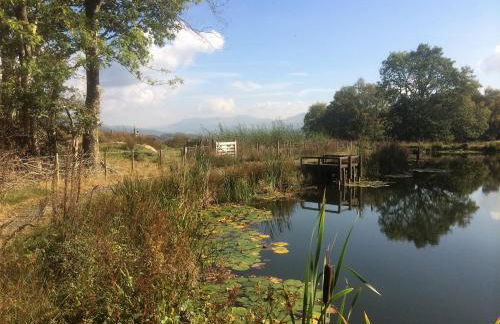 Snowdonia Snug - Studio Style Accommodation - Foto 35