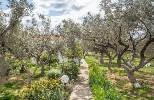 Cuckoos House - Foto 13