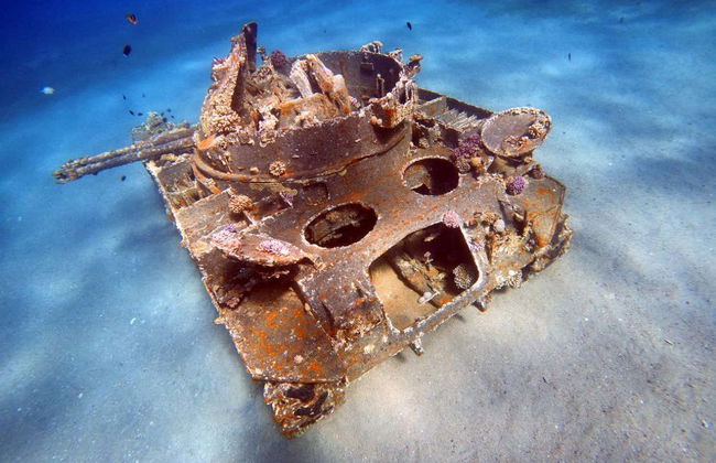 Baptême de plongée dans la mer Rouge - Photo 5