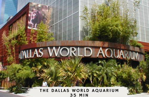 Parisian-Inspired 5-BD w Pool Playground Cinema - Foto 57