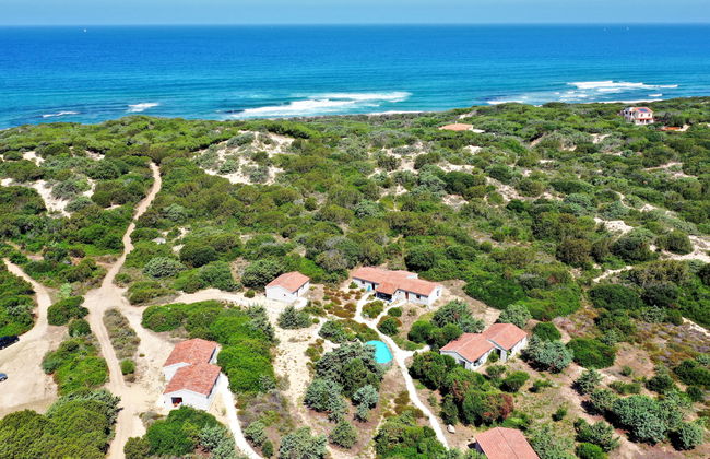 Mare di Ginepri (BAD115) - Foto 3