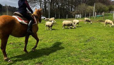 Ranch du Haut-Languedoc - Foto 5