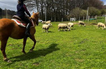 Ranch du Haut-Languedoc - Foto 5