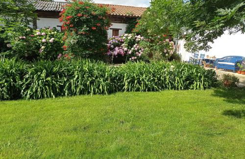 Lokate 5 Habitaciones - Photo 14