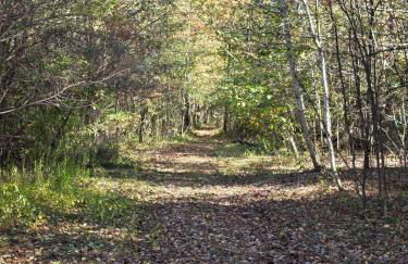 New Home with Game Room and Nature Trails in Port Huron - Photo 6