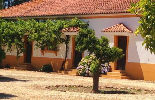 Casas Herdade do Convento da Serra - Foto 30