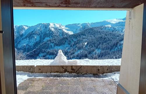 Ski1600 - GrandMassif - Photo 15