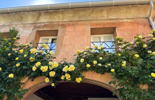 Alla vigna - Foto 2