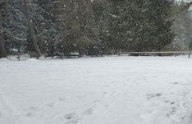 Villa Larici piano terra - Foto 15