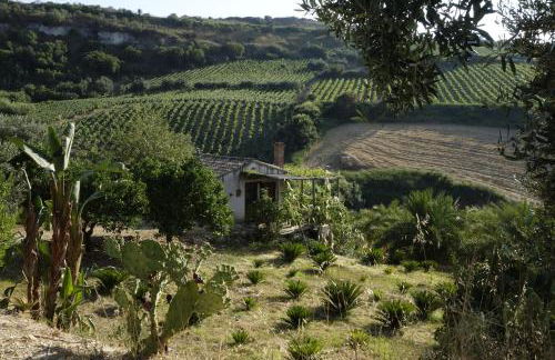 Egesta, villa with private pool - Foto 31