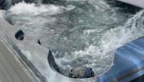 Clarendon House - Hot Tub - Foto 2