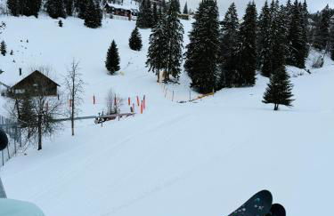 Mitten auf dem Feldberg Panorama Apartment Bergglück - Foto 32