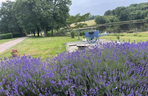 La petite lisonne - Foto 37