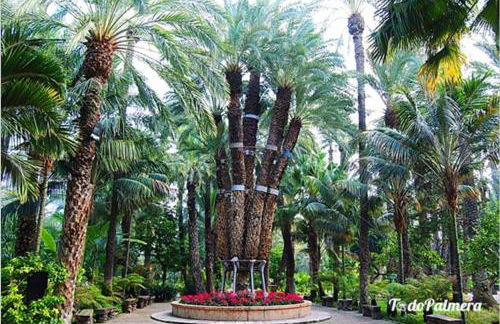 Apartamento Ladevesa - Foto 53