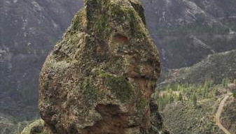 La Casita de Coco Tejeda - Foto 5