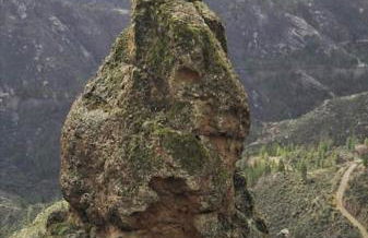 La Casita de Coco Tejeda - Foto 5