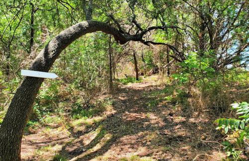 The Lonely Bull Luxury Container Home on 5 Acres - Foto 25