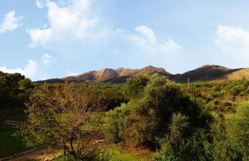 Finca Almendra - Photo 30