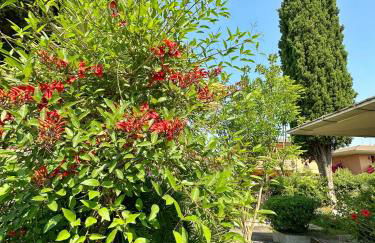 VILLA BRANDO - Exclusive 9-Guests Villa near Sabaudia, with Garden & Bikes - Foto 71