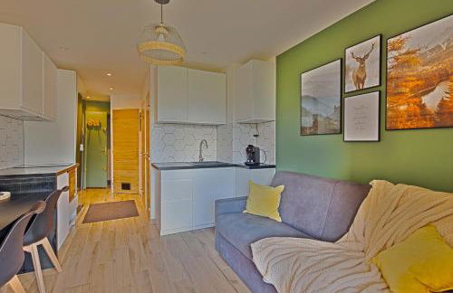 Studio de charme avec vue sur le Val d'Allos, parking et Wifi gratuit - Photo 5