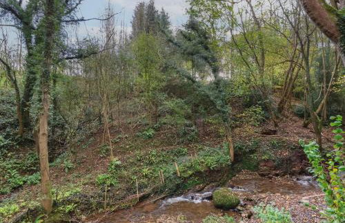 Fron Haul - Gwennol - Photo 23