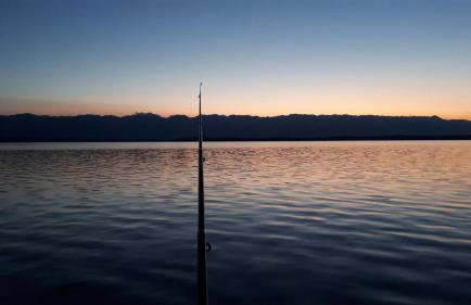 Iris Sabunike - Photo 53