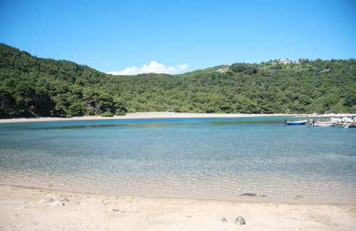 LILY's Peaceful Oasis- BRAND NEW - Foto 37